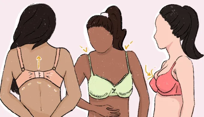 How to choose your bra? 5 How to choose your bra?