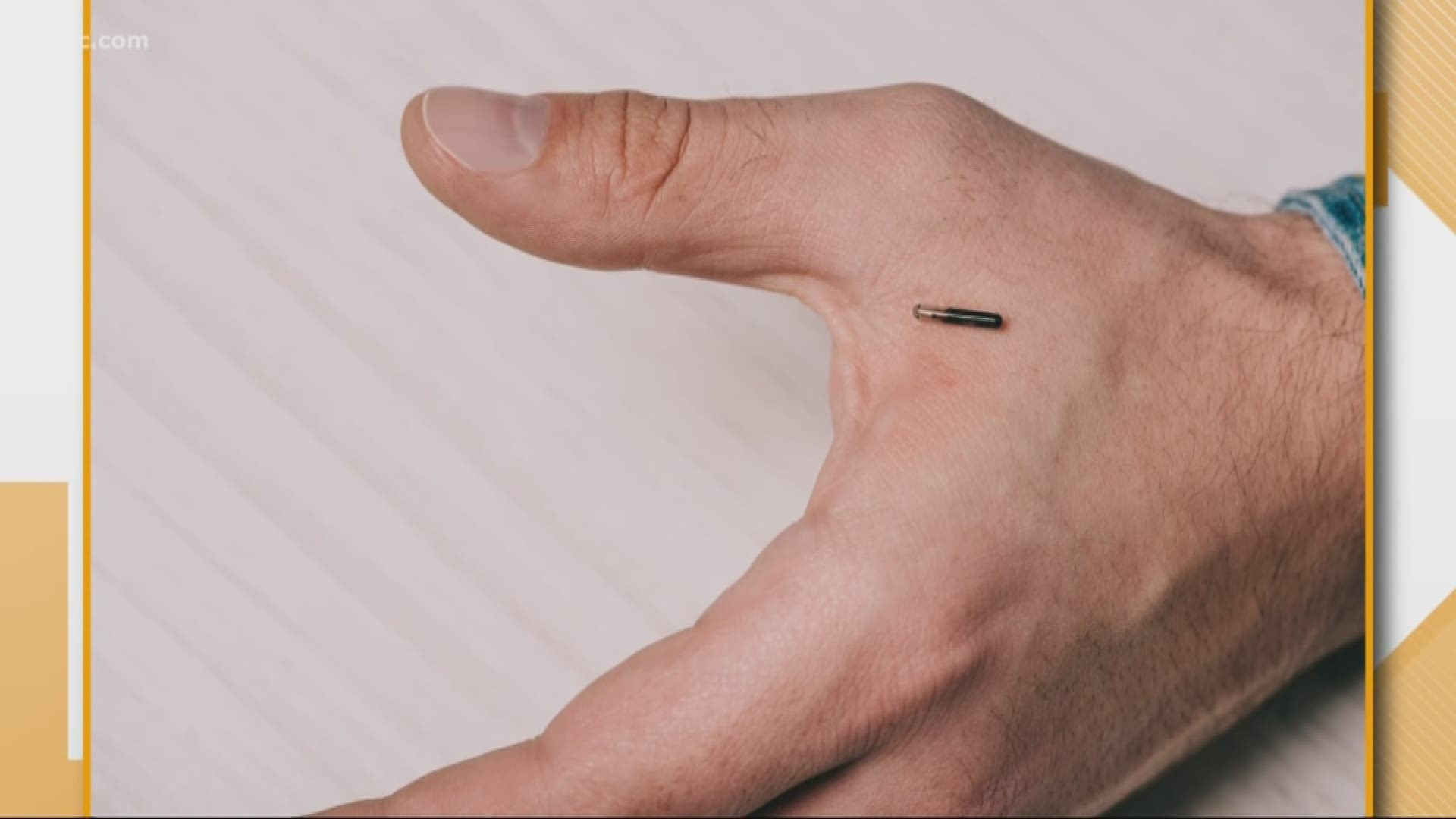 In Sweden, microchips in the skin 3 In Sweden, microchips in the skin