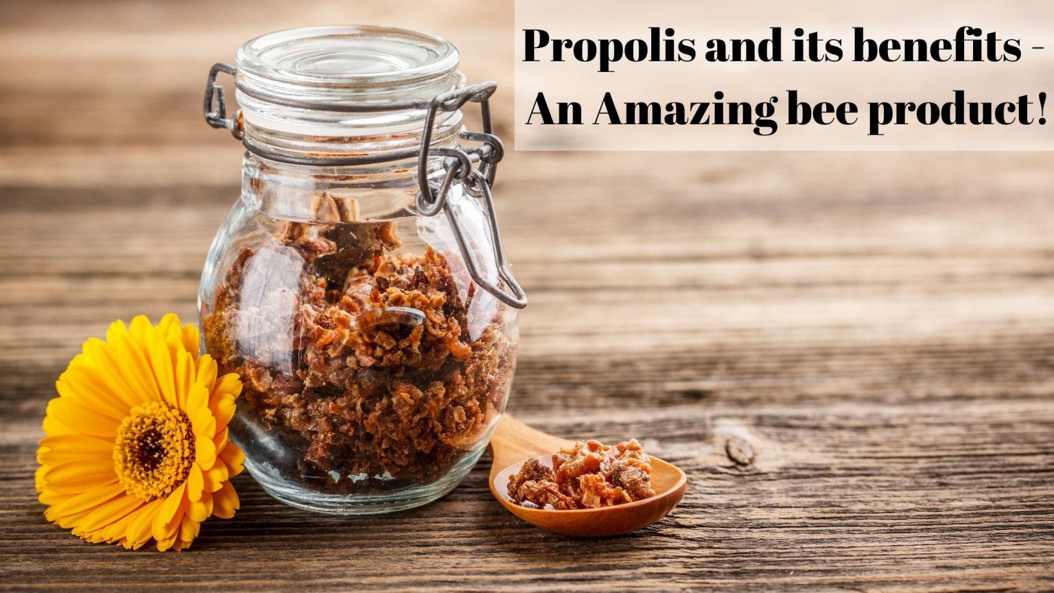 Propolis and Honey Products. 2 Propolis and Honey Products.