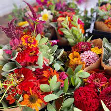 Top 10 flowers with exceptional longevity 1 Top 10 flowers with exceptional longevity