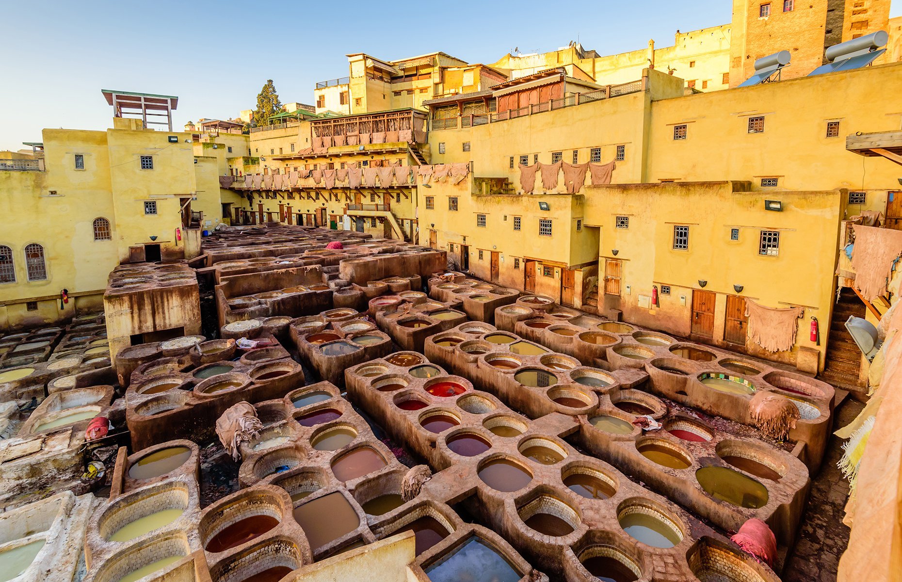 FES
