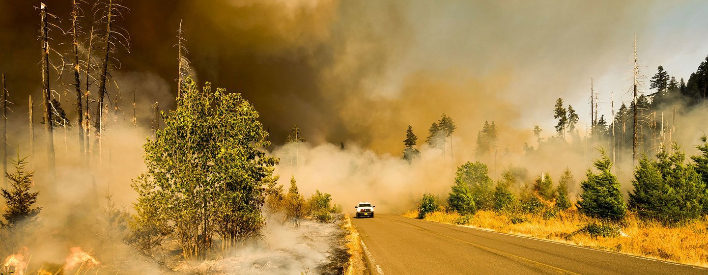 Alarming new report warns that society could collapse by the end of the century 5 Alarming new report warns that society could collapse by the end of the century