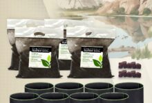 Unlock Your Garden's Potential with CaliSuperSoil: The Ultimate "Just Add Water" Formula!