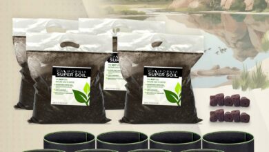 Unlock Your Garden's Potential with CaliSuperSoil: The Ultimate "Just Add Water" Formula! 5 Unlock Your Garden's Potential with CaliSuperSoil: The Ultimate "Just Add Water" Formula!