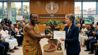 The FAO adopts a World Coffee Day: an official celebration of the most popular beverage 5 The FAO adopts a World Coffee Day: an official celebration of the most popular beverage