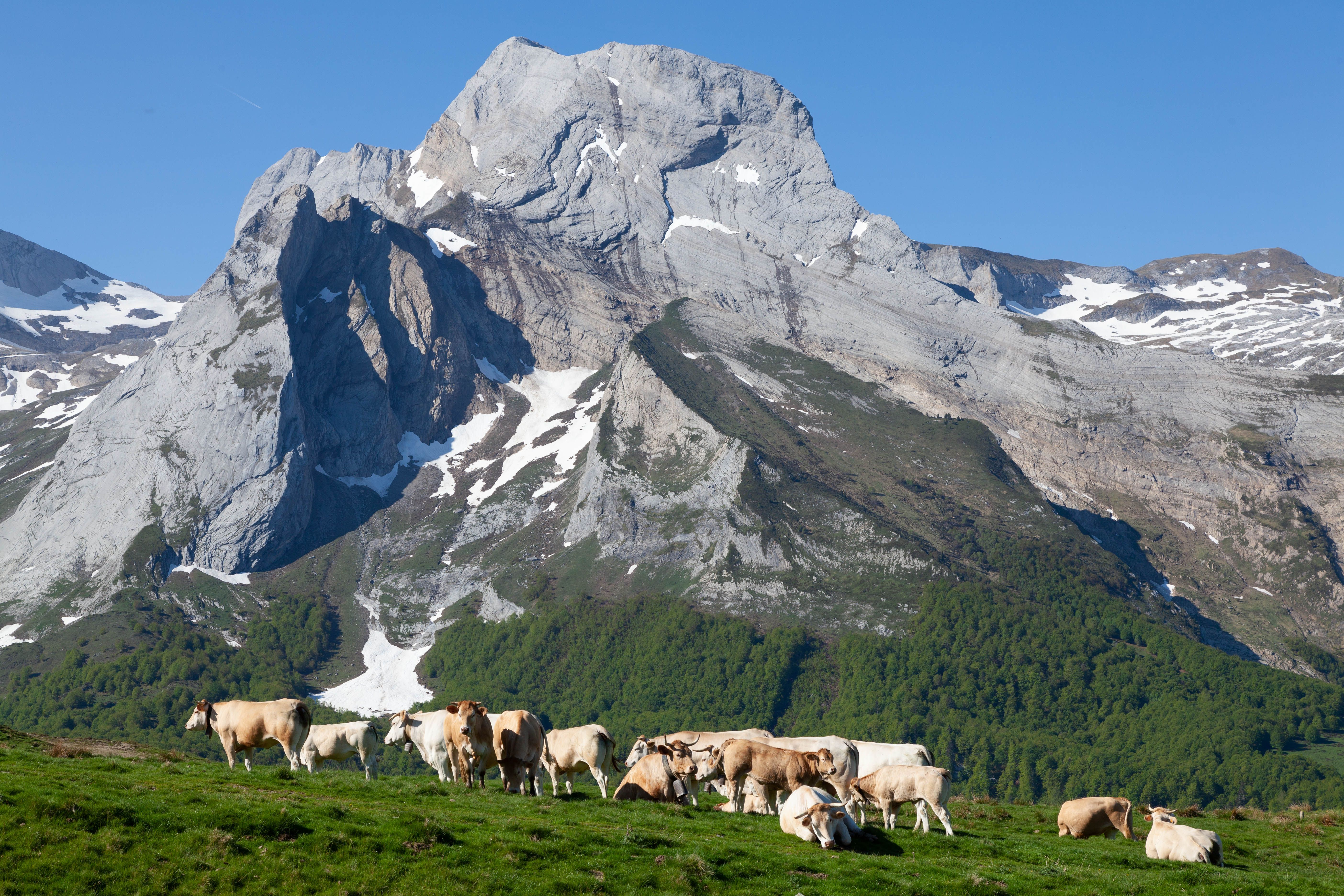 Spain Destinations Pyrenees